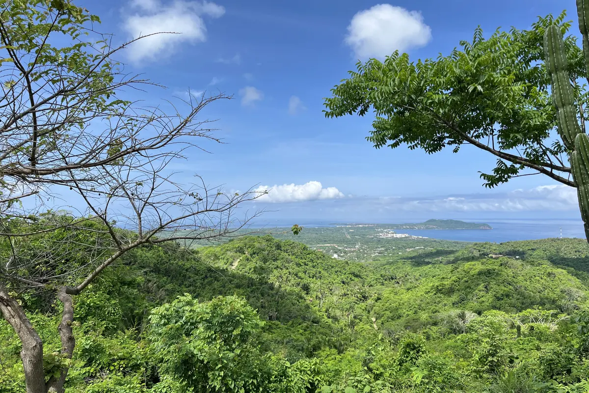 A green hillside with a cactus and leafy branches in the foreground, and a wide blue bay with a distant headland below (a view over the Banderas Bay region, not from the boat)