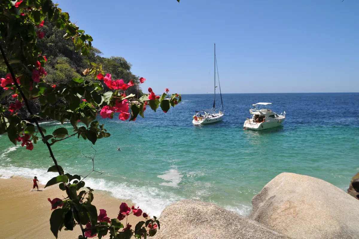 A small cove with turquoise water and two boats at anchor, seen through pink bougainvillea (a cove on the bay's southern shore, near Boca de Tomatlán, not Las Caletas)